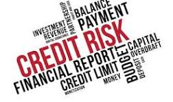 Credit Risk Modeling Project